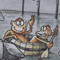 monkeys-in-a-barrel